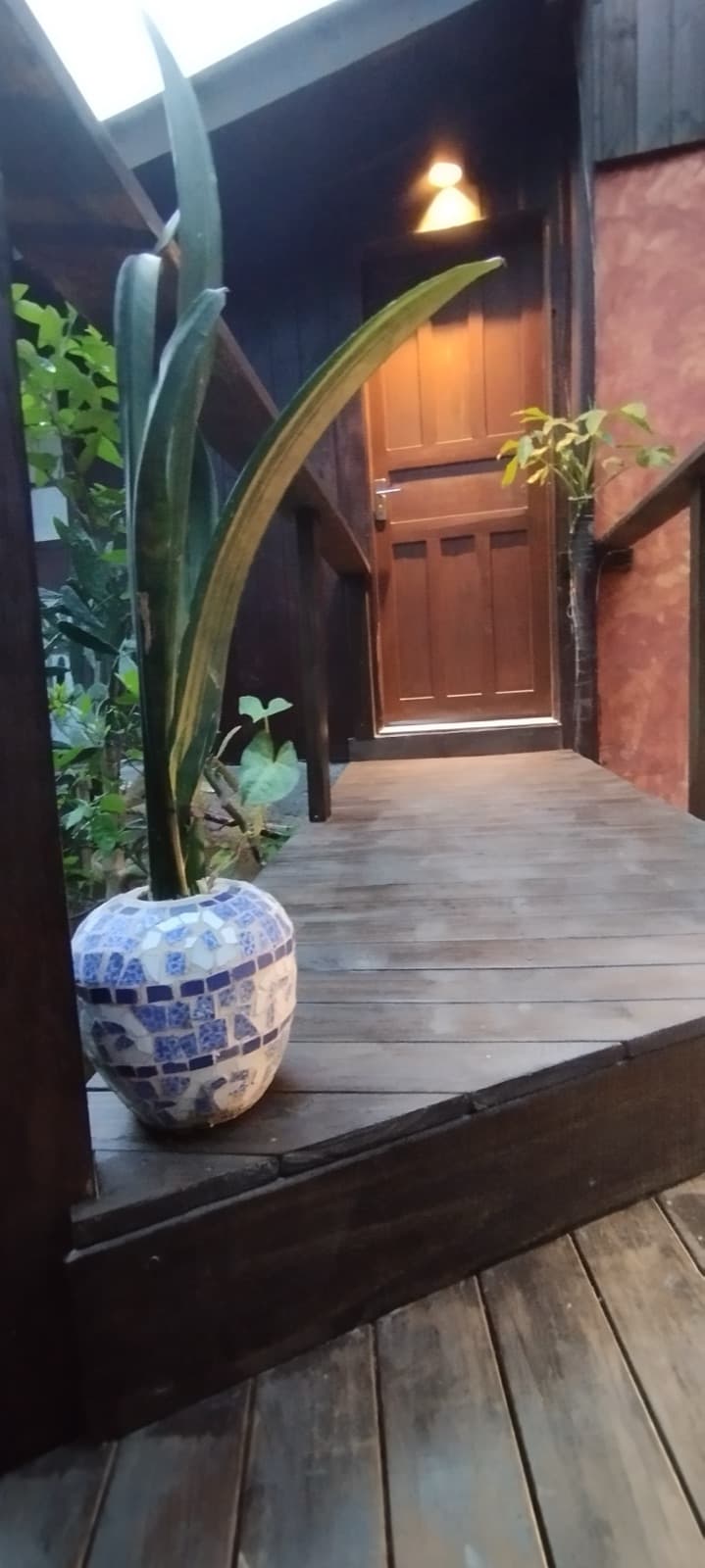 Casa 4