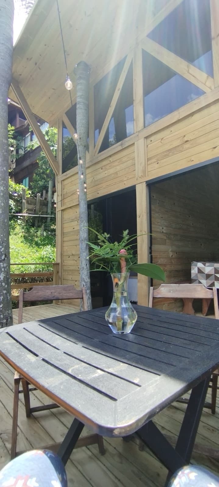 Casa 6