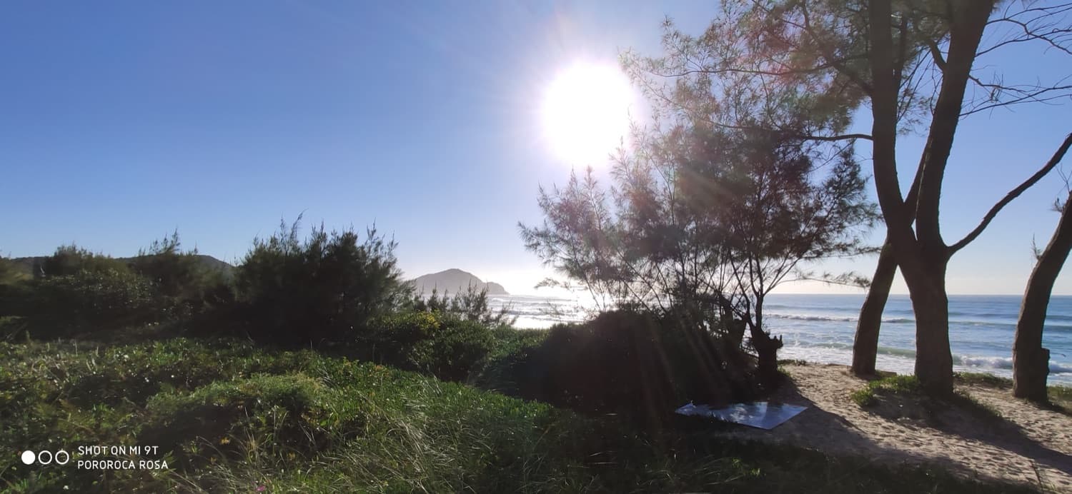 Trilhas e mirantes com vista para o mar e a mata atlântica.